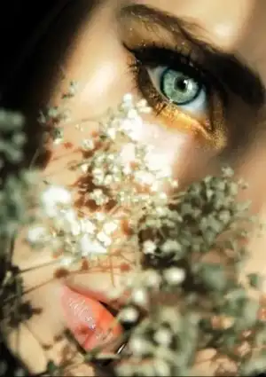 $b6bc9b228beda75faace1d3afb475700.webp