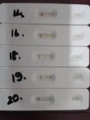 $2014-02-28 17.50.40.webp