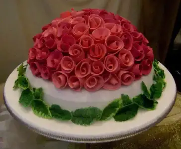 $1625533_249546771884713_644842854_n (1).webp