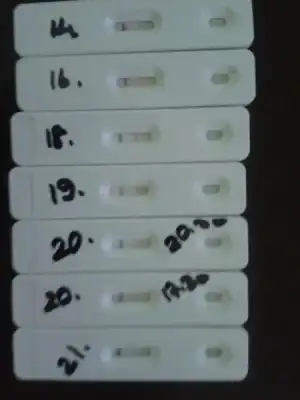 $2014-03-01 18.48.50.webp