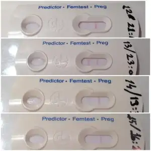 $fotoÃ°raf 1.webp