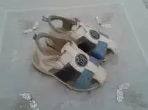 $poloris 21 numara.webp