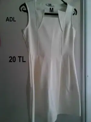 $16fc7a77bb45cfe5fe3cc27750a10208.webp