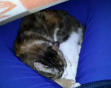 $2014-03-04 14.47.09.webp