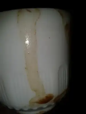 $2014-03-04 17.30.08.webp