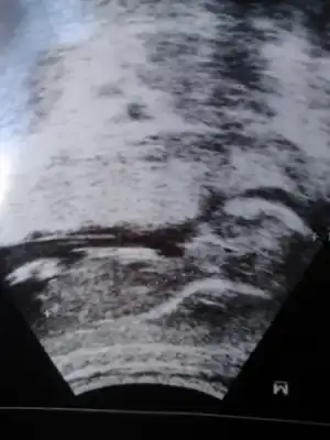 $2014-03-05 15.59.36.webp