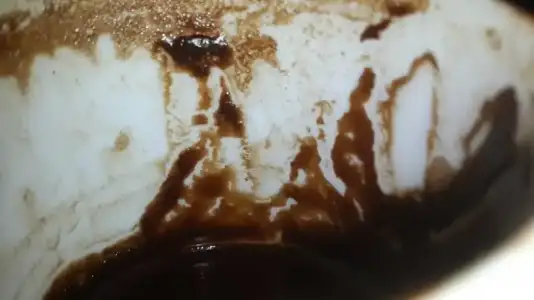 $1507160_526272184160689_1485391123_n.webp $1507160_526272184160689_1485391123_n.webp