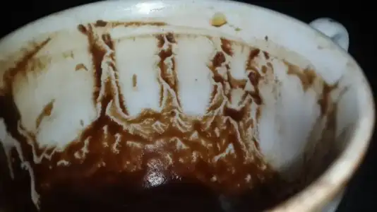 $1901130_526272234160684_1976045264_n.webp $1901130_526272234160684_1976045264_n.webp