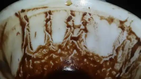 $1964832_526272237494017_2138850116_n.webp $1964832_526272237494017_2138850116_n.webp