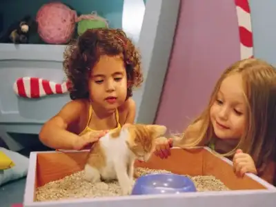 $COCUKLAR_HAYVANLAR.BABYTV.webp