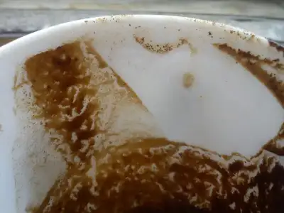 $DSC05048.webp $DSC05048.webp