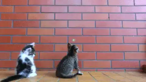 $tumblr_mxzdvdYJ9y1rnxkm4o1_500.webp