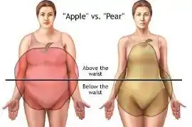 $apple_type_obesity.webp $apple_type_obesity.webp