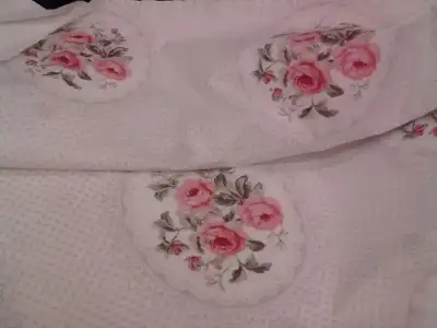 $10007531_496002373854927_735699222_n (1).webp