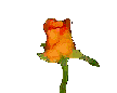 $flowers_81.gif