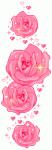 $pembe güller.gif
