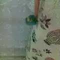 $28102012022.webp