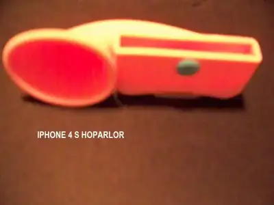 $100_2156.webp