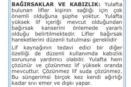 $ImageUploadedByKadÃÂ±nlar KuluÃËbuÃË1395388351.304411.webp