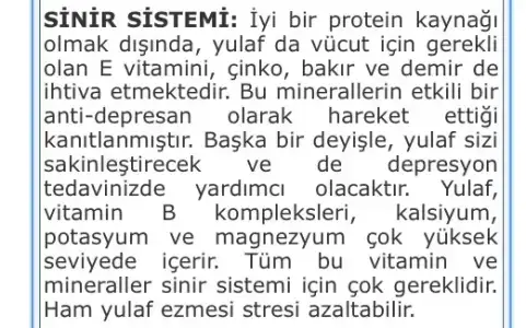 $ImageUploadedByKadÃÂ±nlar KuluÃËbuÃË1395388367.102637.webp