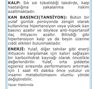 $ImageUploadedByKadÃÂ±nlar KuluÃËbuÃË1395388386.878633.webp