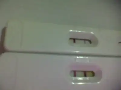 $Snapshot_20140322.webp