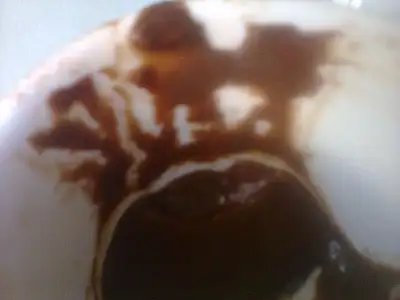 $FotoÃ°raf1708.webp