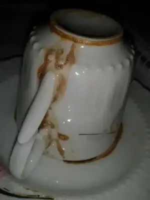 $2014-03-23 15.12.16.webp