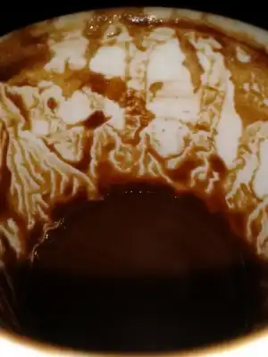 $2014-03-25 15.01.59.webp