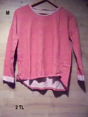 $100_2239.webp