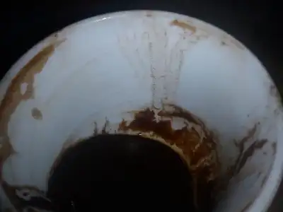 $DSC05125.webp $DSC05125.webp