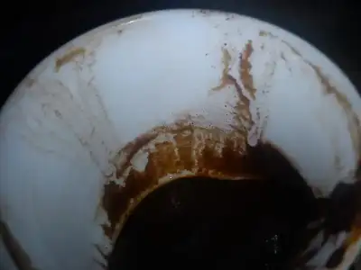 $DSC05126.webp $DSC05126.webp