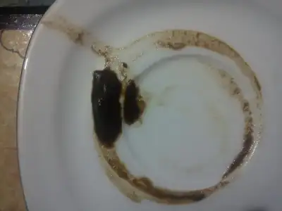 $DSC05130.webp $DSC05130.webp