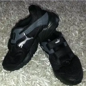 $PUMA.webp