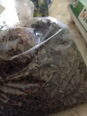 $ImageUploadedByKadÃÂ±nlar KuluÃËbuÃË1395836202.962936.webp