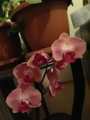 $ImageUploadedByKadÃÂ±nlar KuluÃËbuÃË1395863654.608087.webp