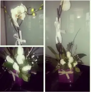 $2014-03-27 11_52_36-Instagram.webp