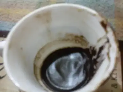 $DSC05134.webp $DSC05134.webp