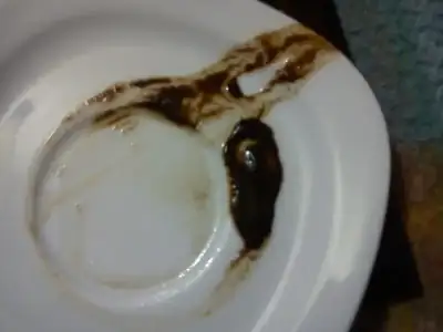 $DSC05139.webp $DSC05139.webp