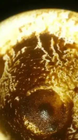 $1966807_636415656406021_1533040967_n.webp $1966807_636415656406021_1533040967_n.webp