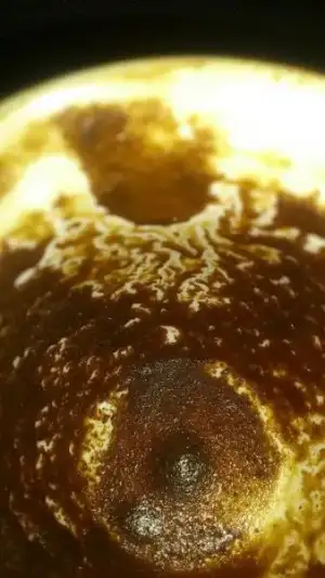 $1969210_636416299739290_1174565513_n.webp $1969210_636416299739290_1174565513_n.webp