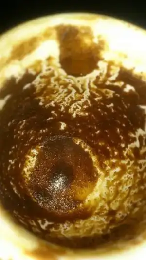 $1975226_636414689739451_1334519122_n.webp $1975226_636414689739451_1334519122_n.webp