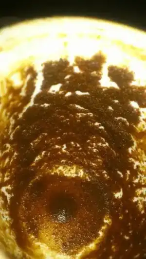 $10151892_636414916406095_1934223525_n.webp $10151892_636414916406095_1934223525_n.webp