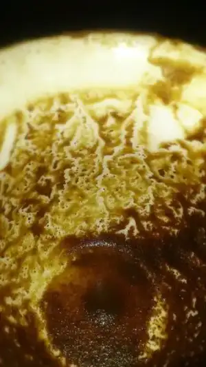 $10154150_636415416406045_537342302_n.webp $10154150_636415416406045_537342302_n.webp