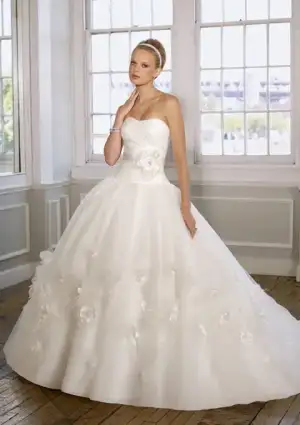$51610814.webp