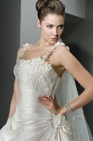 $85135891.webp