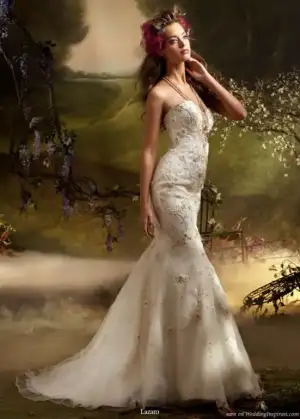 $78031068.webp