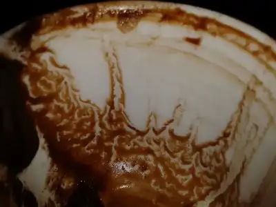 $2014-03-30 16.35.27.webp