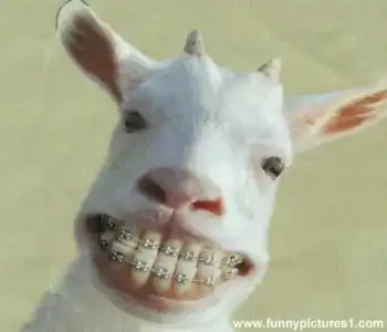 $gulumseme2fh1px.webp