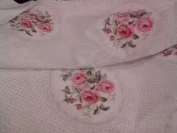 $10007531_496002373854927_735699222_n (1).webp